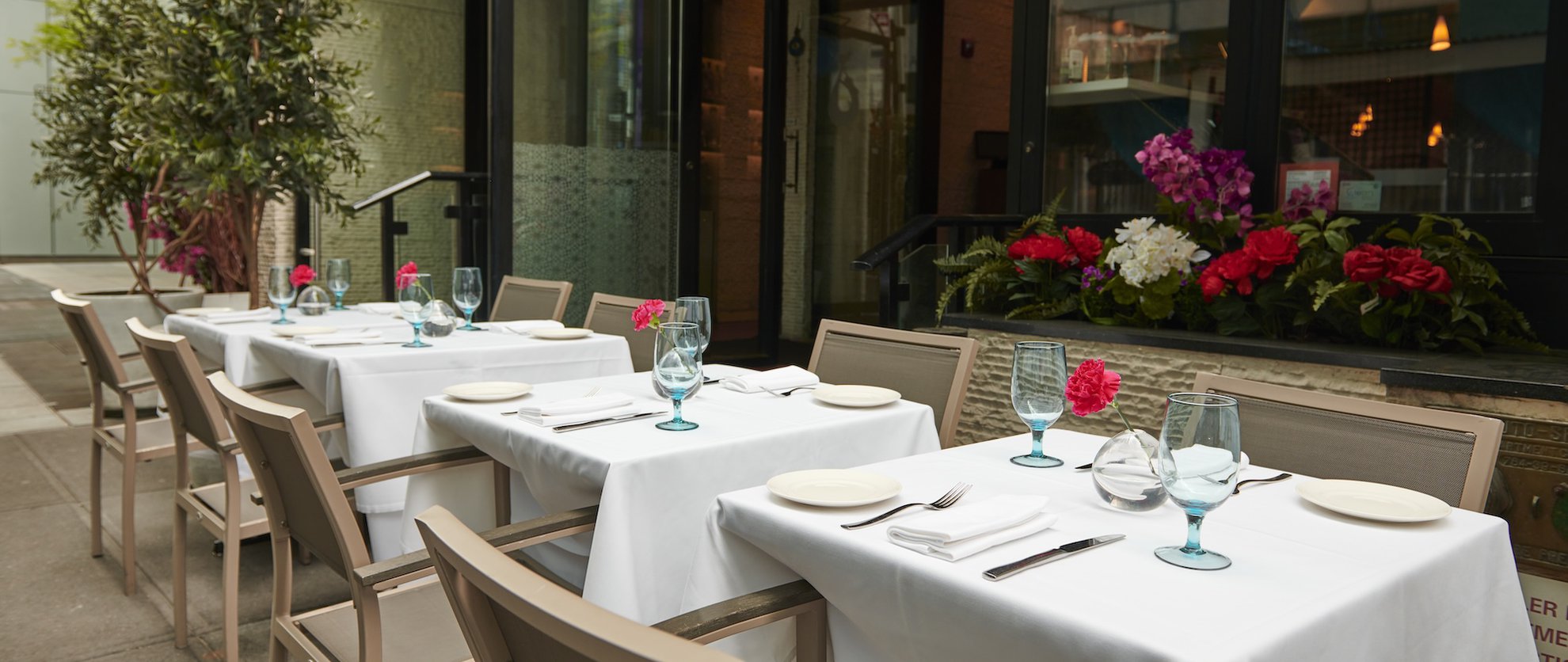 CobaltMercury review photo 5